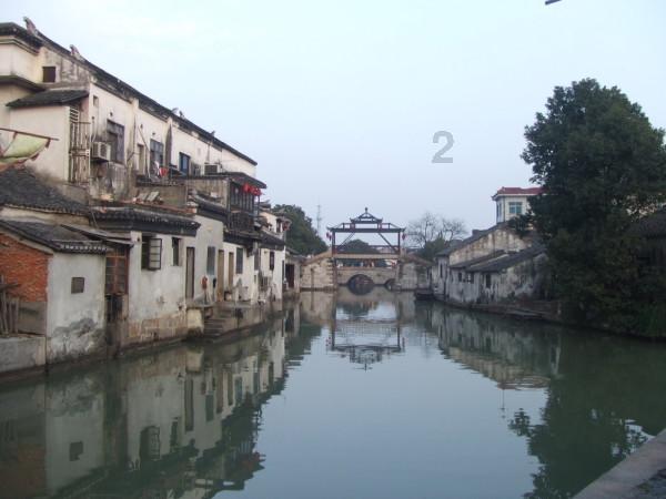 小恐龙来找茬